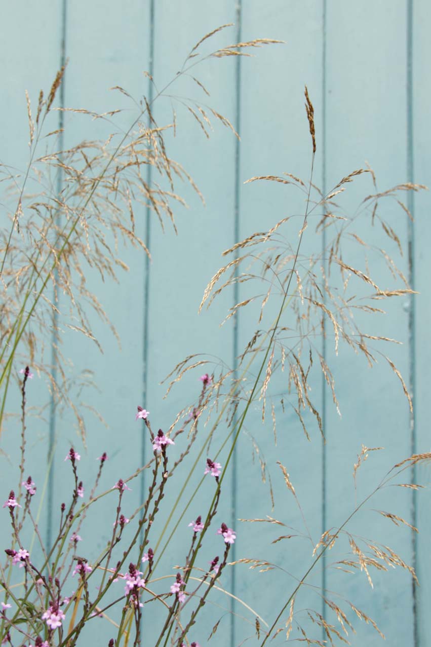 Cottage_kalkschmidt_1a