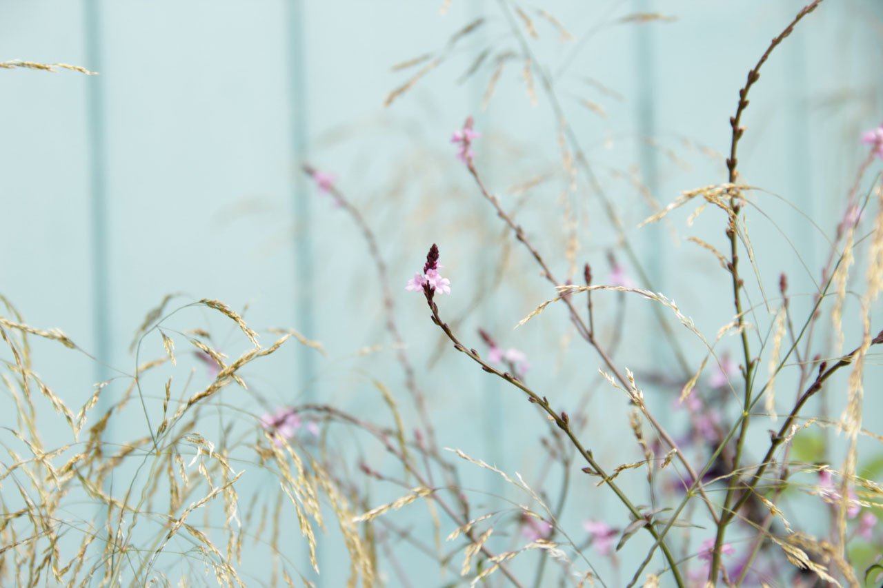 Cottage_kalkschmidt_7