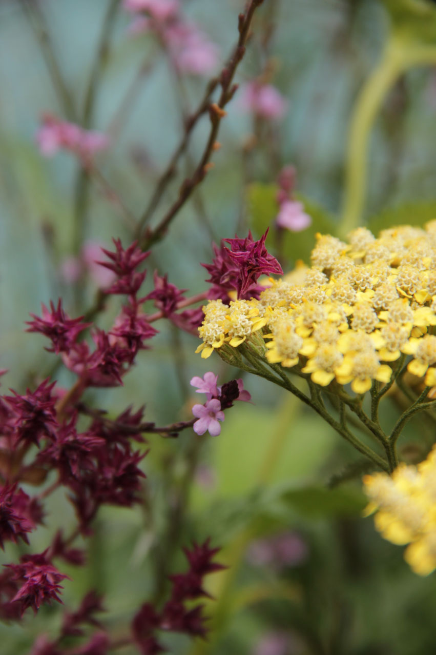 Cottage_kalkschmidt_8