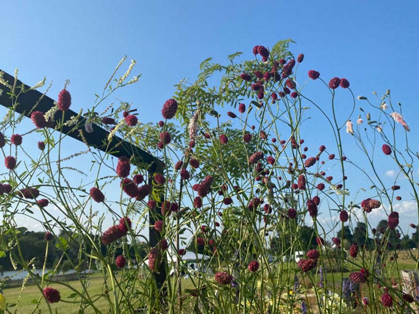 Belvoir_kalkschmidt_02A