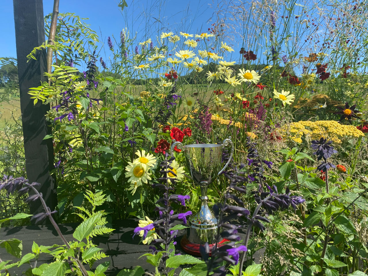 Belvoir_kalkschmidt_07