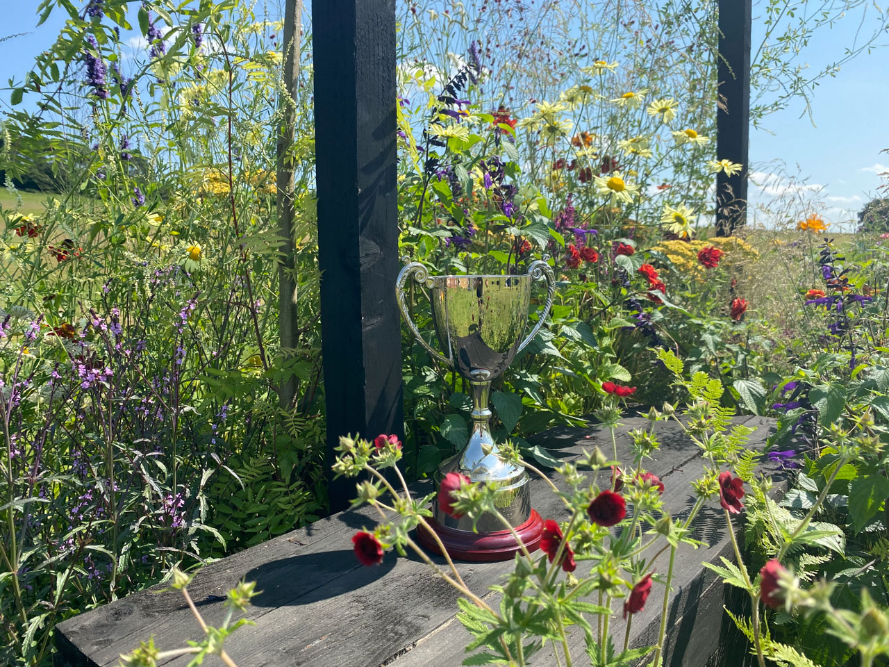 Belvoir_kalkschmidt_10