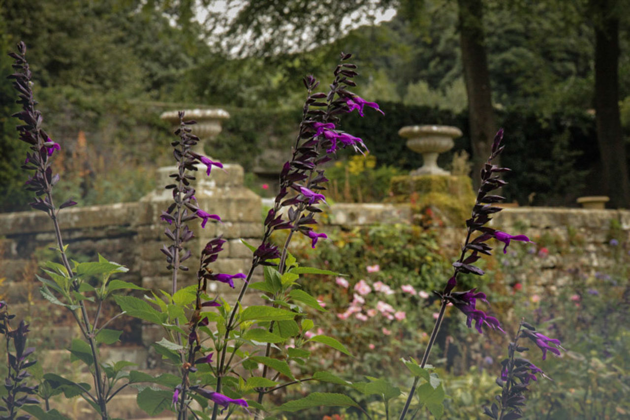 Milner_kalkschmidt_03