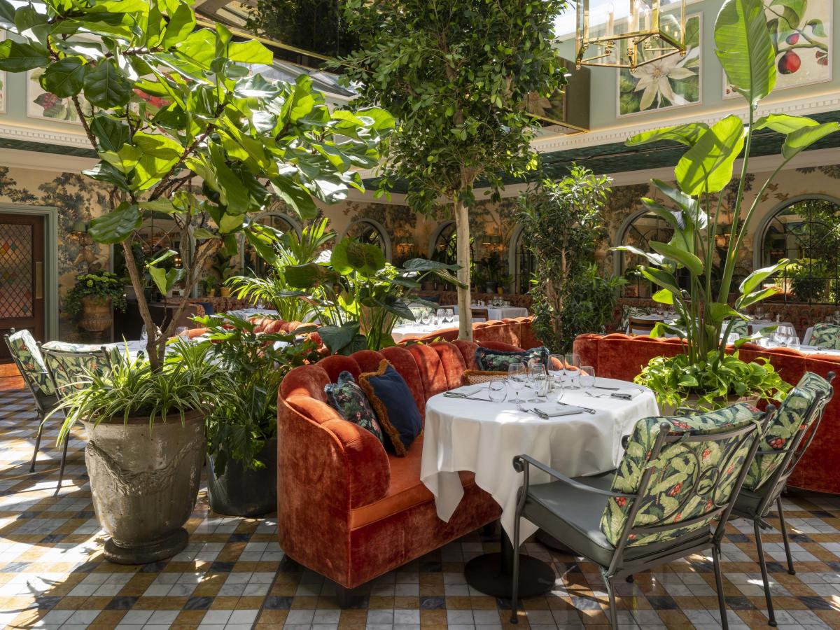 The Ivy Chichester 5