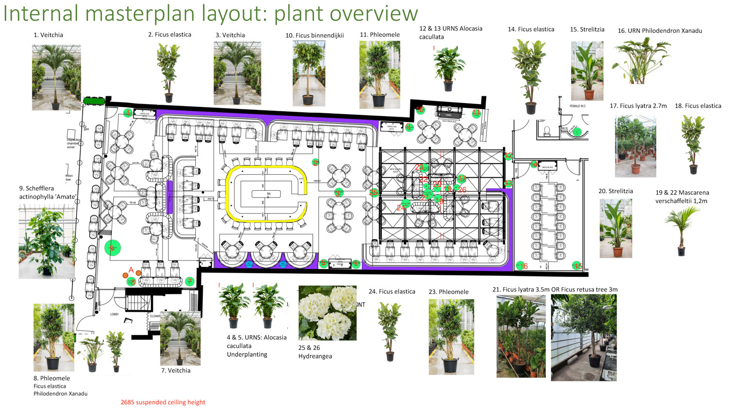 The Ivy Chichester – Planting Proposal v8_Page_5