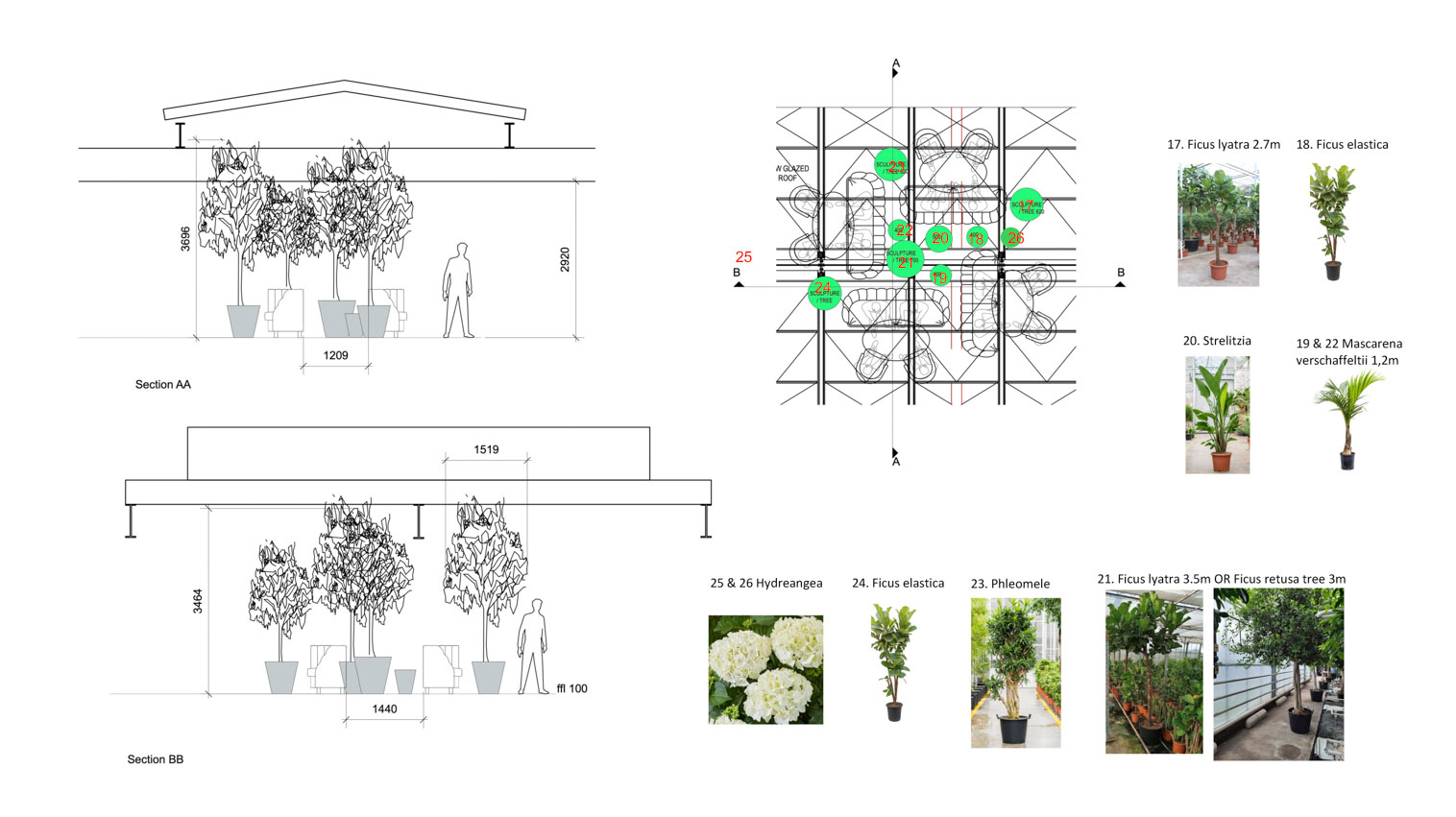 The Ivy Chichester – Planting Proposal v8_Page_6
