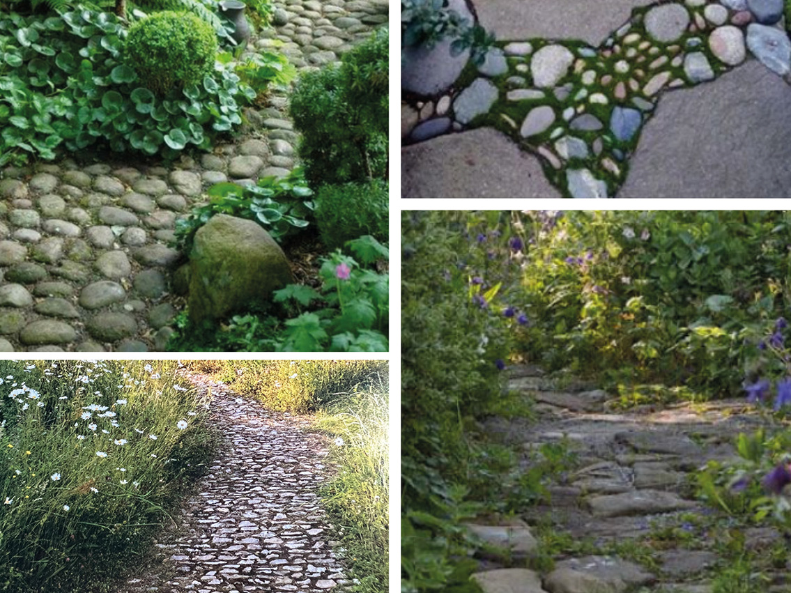 The oak_kalkschmidt_stone