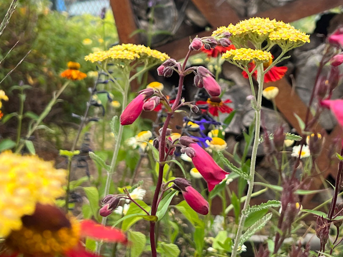 Victoria Leeds_kalkschmidt_04