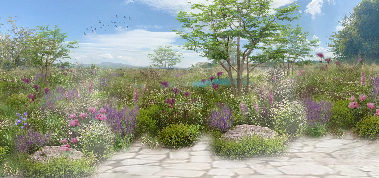 the oak-portfolio_largel