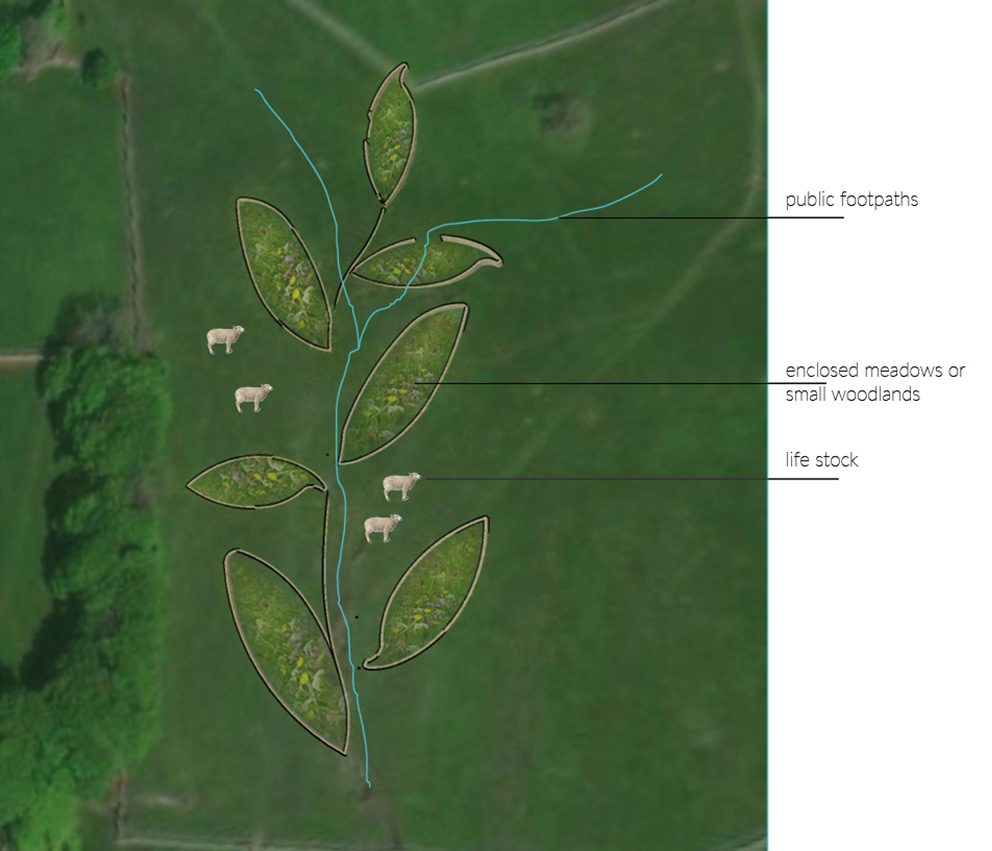 rewilding_kalkschmidt